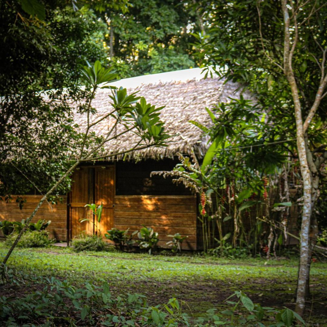Hacienda Herrera Tambopata Puerto Maldonado Buitenkant foto
