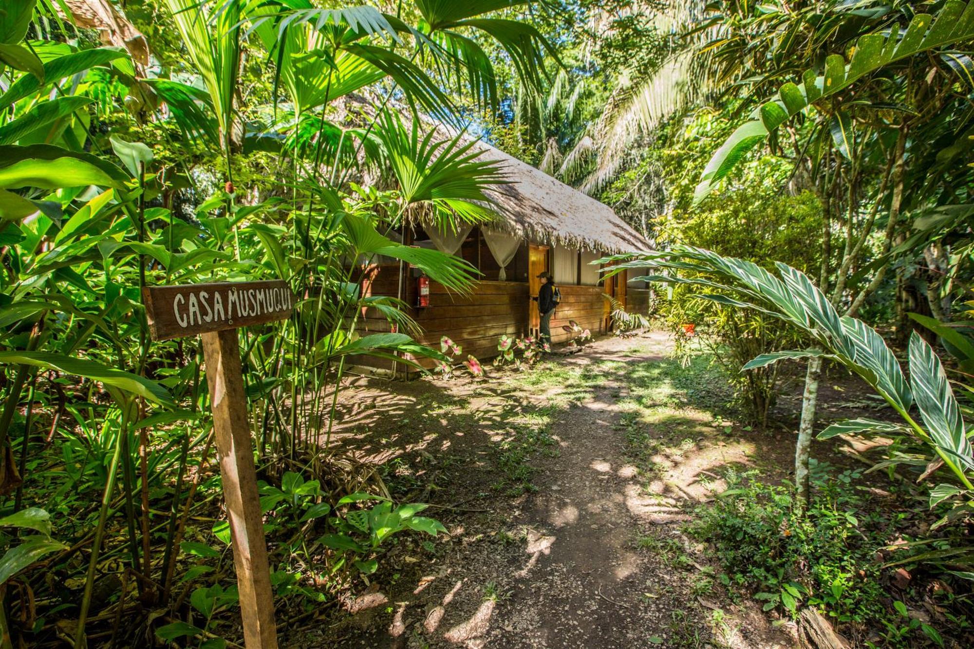 Hacienda Herrera Tambopata Puerto Maldonado Buitenkant foto