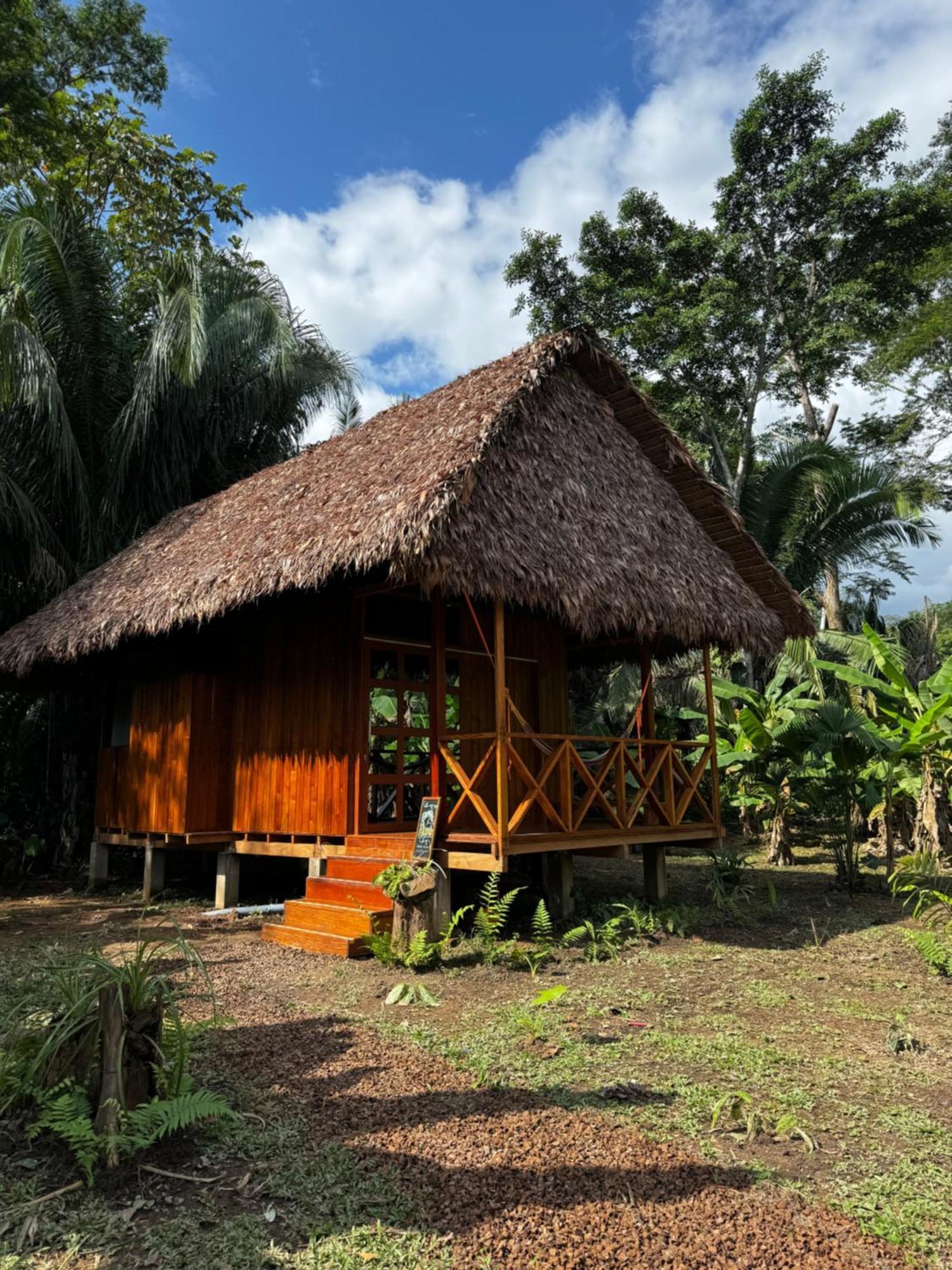 Hacienda Herrera Tambopata Puerto Maldonado Buitenkant foto