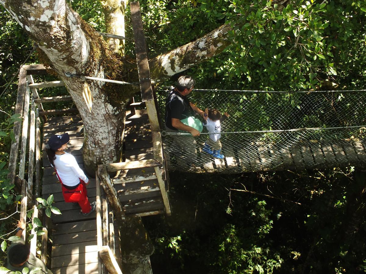 Hacienda Herrera Tambopata Puerto Maldonado Buitenkant foto
